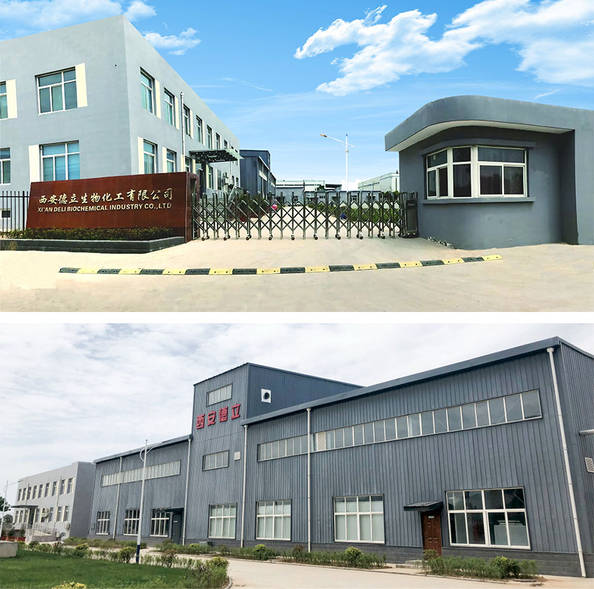 Xi'an Deli Biochemical Industry Co., Ltd.: Ηγετική καινοτομία στα παράγωγα της κυκλοδεξτρίνης, ενδυναμώντας τη φαρμακευτική βιομηχανία